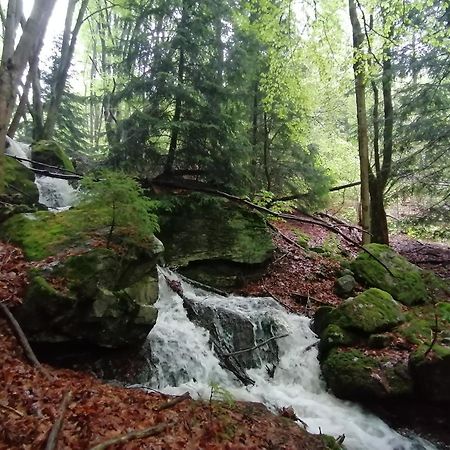 La Fortance Paradis Naturel - Proche de la ville Planfoy Exterior foto